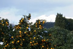 71069-DSC00323.JPG, 68 KB