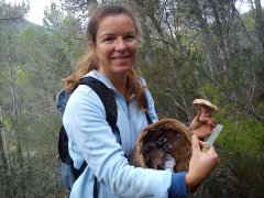 DSC00156.jpg, 103 KB