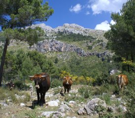 DSC08332bis.JPG, 156 KB