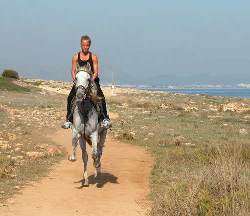 amazona-son-real.jpg, 121 KB