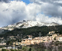 neu-sa-coma-mini.jpg, 23 KB