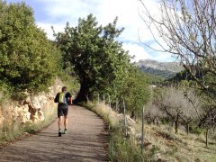 sa-coma-la-trapa-sant-elm-port-andratx-1.jpg, 141 KB