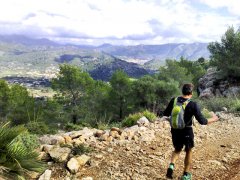 sa-coma-la-trapa-sant-elm-port-andratx-10.jpg, 114 KB