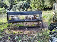 sa-coma-la-trapa-sant-elm-port-andratx-2.jpg, 177 KB