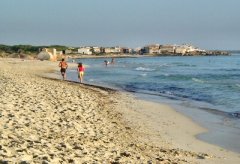 sa-rapita-2.jpg, 37 KB